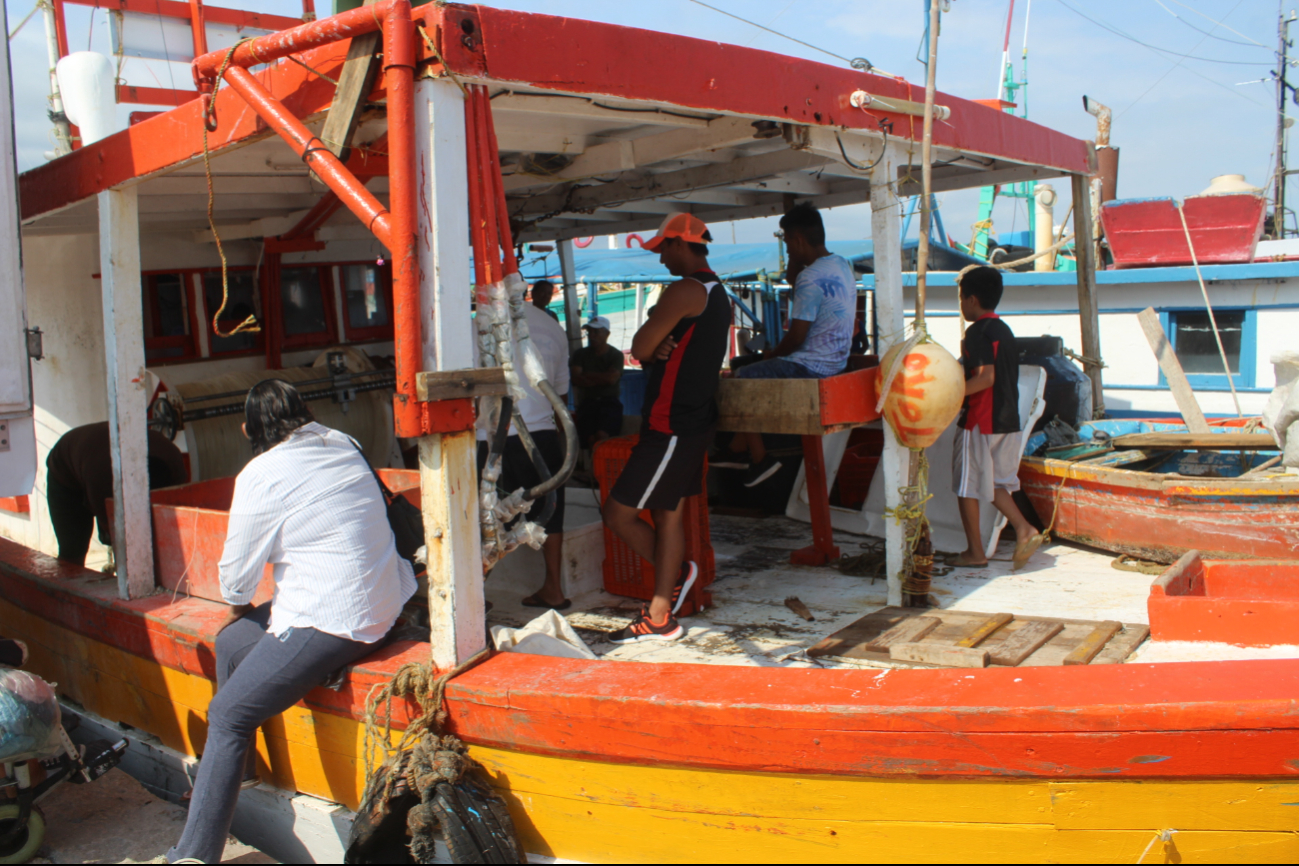 Hombres de mar afinan detalles para zarpar después de una primera ronda exitosa de captura de pulpo Hombres de mar afinan detalles para zarpar después de una primera ronda exitosa de captura de pulpo