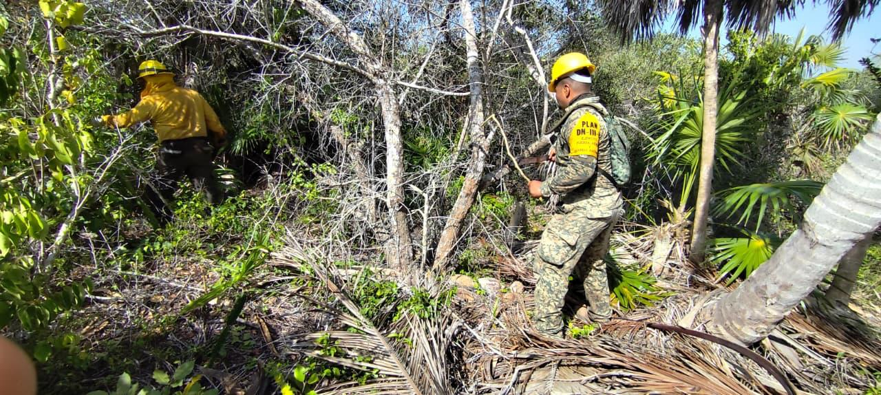 La magnitud del daño de flora y fauna todavía no es evaluado de manera oficial por las autoridades La magnitud del daño de flora y fauna todavía no es evaluado de manera oficial por las autoridades