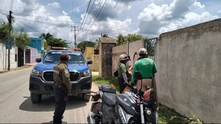 Vecinos de Kanasín piden justicia por la muerte de otro perro Vecinos de Kanasín piden justicia por la muerte de otro perro