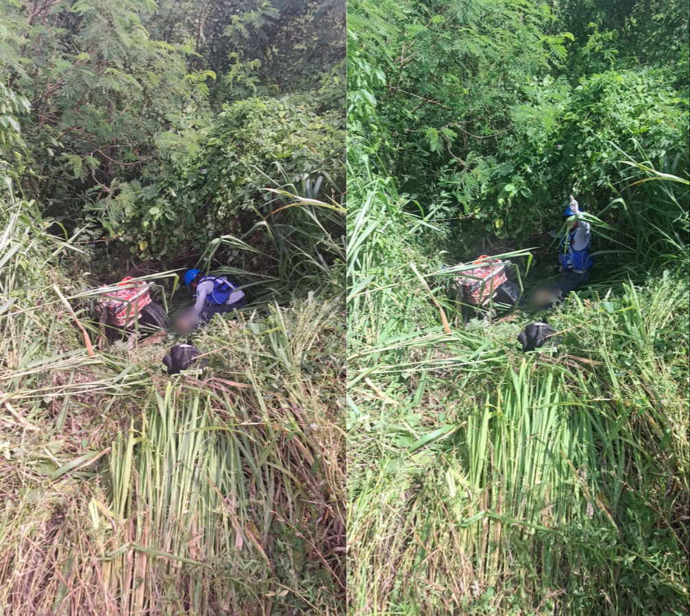 El cuerpo fue trasladado a las instalaciones de la Semefo El cuerpo fue trasladado a las instalaciones de la Semefo