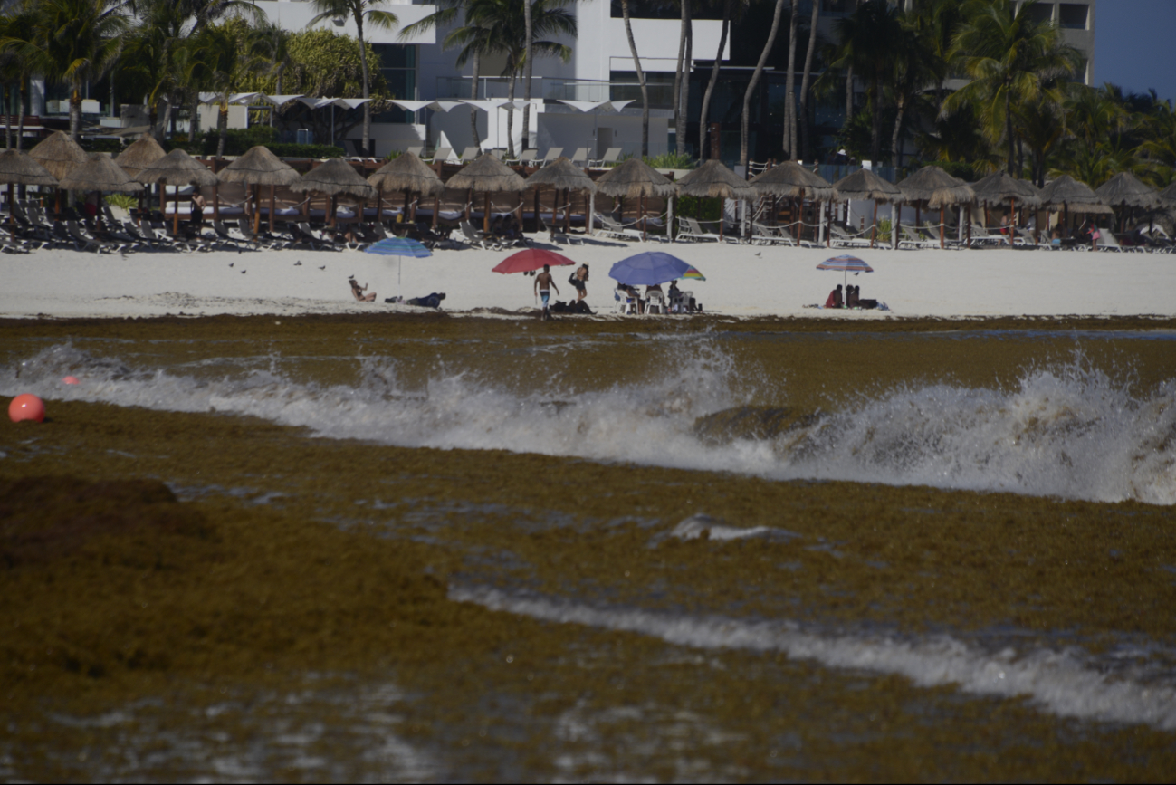 El recale masivo de sargazo en Cancún y la Riviera Maya ha causado que las personas opten por viajar a otros destinos de playa
