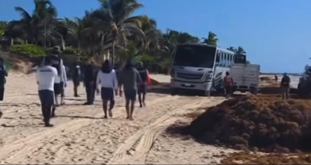 Camión queda atascado frente a turistas en Tulúm; hecho se da en medio de temporada de anidación de tortugas marinas Camión queda atascado frente a turistas en Tulúm; hecho se da en medio de temporada de anidación de tortugas marinas