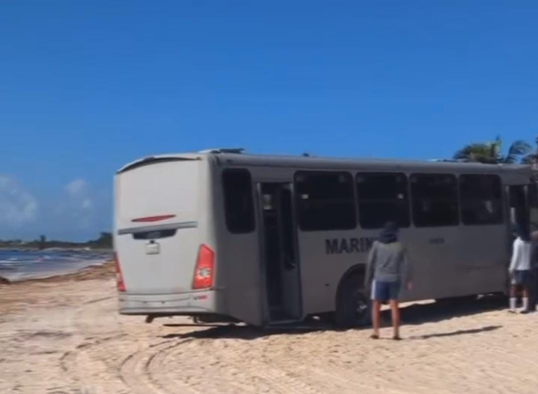 Camión queda atascado frente a turistas en Tulúm; hecho se da en medio de temporada de anidación de tortugas marinas Camión queda atascado frente a turistas en Tulúm; hecho se da en medio de temporada de anidación de tortugas marinas
