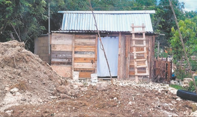 Un total de 11 mil 273 personas vive en casas  de mala calidad y que son insuficientes