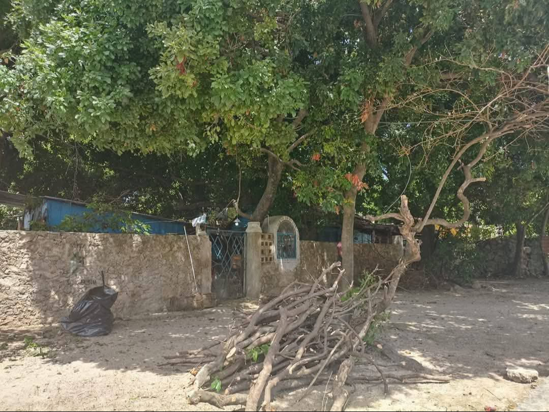 Policía detiene a abuelitos en Othón P. Blanco