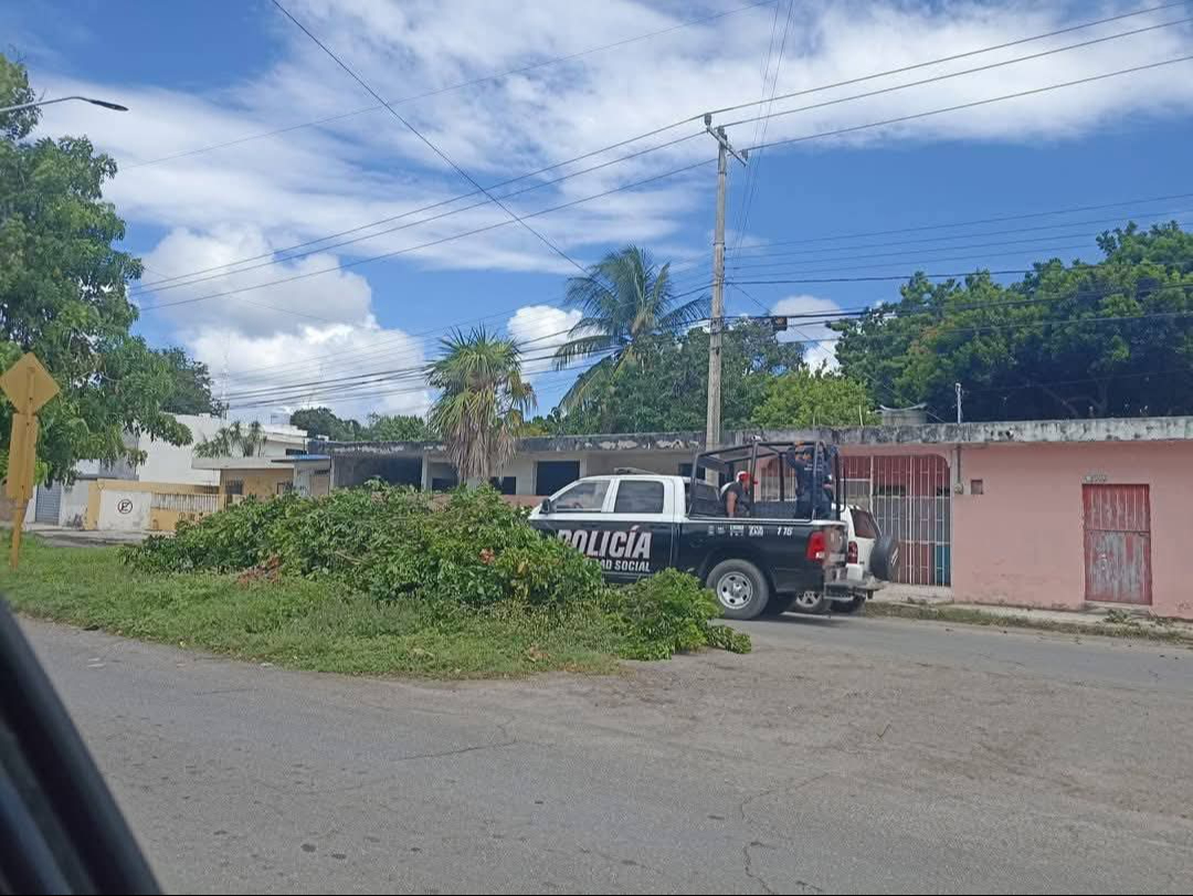 Policía detiene a abuelitos en Othón P. Blanco por cortar un árbol de guaya