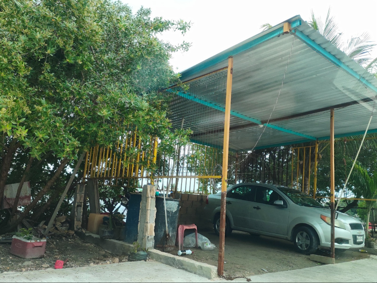 Profepa sanciona la invasión de espacios en Ciudad del Carmen Profepa sanciona la invasión de espacios en Ciudad del Carmen