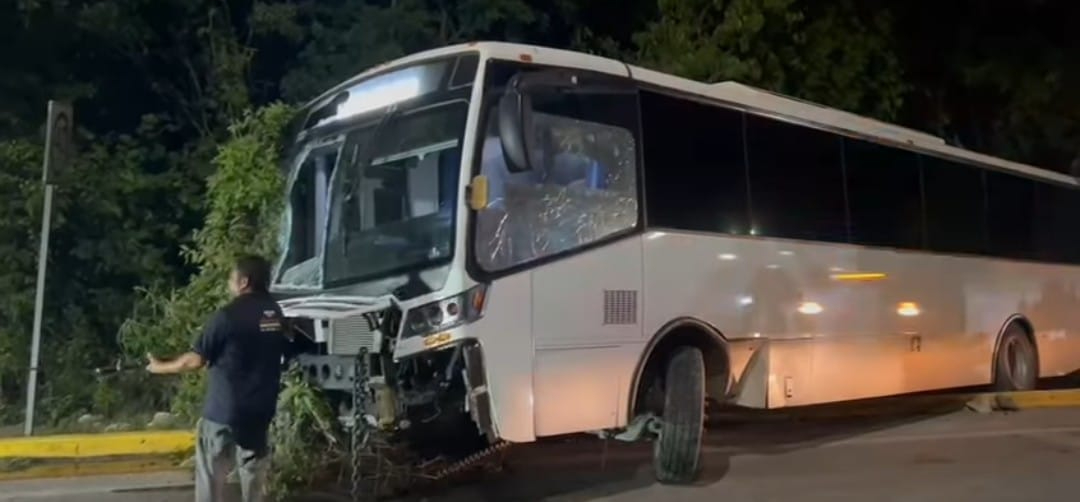 El vehículo terminó incrustado en la zona verde, con la parte frontal severamente dañada a consecuencia del choque contra ramas y árboles El vehículo terminó incrustado en la zona verde, con la parte frontal severamente dañada a consecuencia del choque contra ramas y árboles