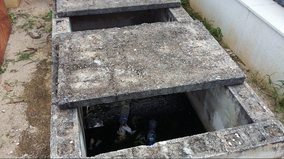 Tumbas abandonadas se tornan en foco de infección Tumbas abandonadas se tornan en foco de infección