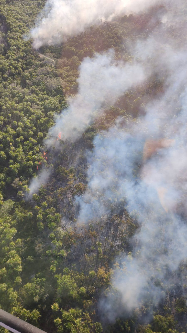 Ambientalistas catalogaron de ecocidio lo ocurrido en Lázaro Cardenas