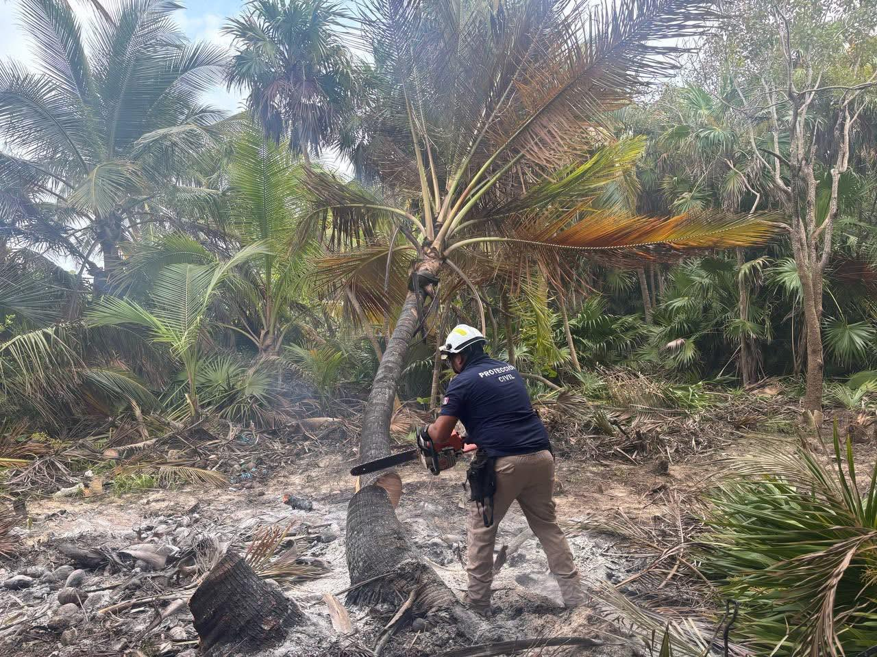 Entre mayo y julio fueron afectadas superficies de alto valor ecológico. Entre mayo y julio fueron afectadas superficies de alto valor ecológico.