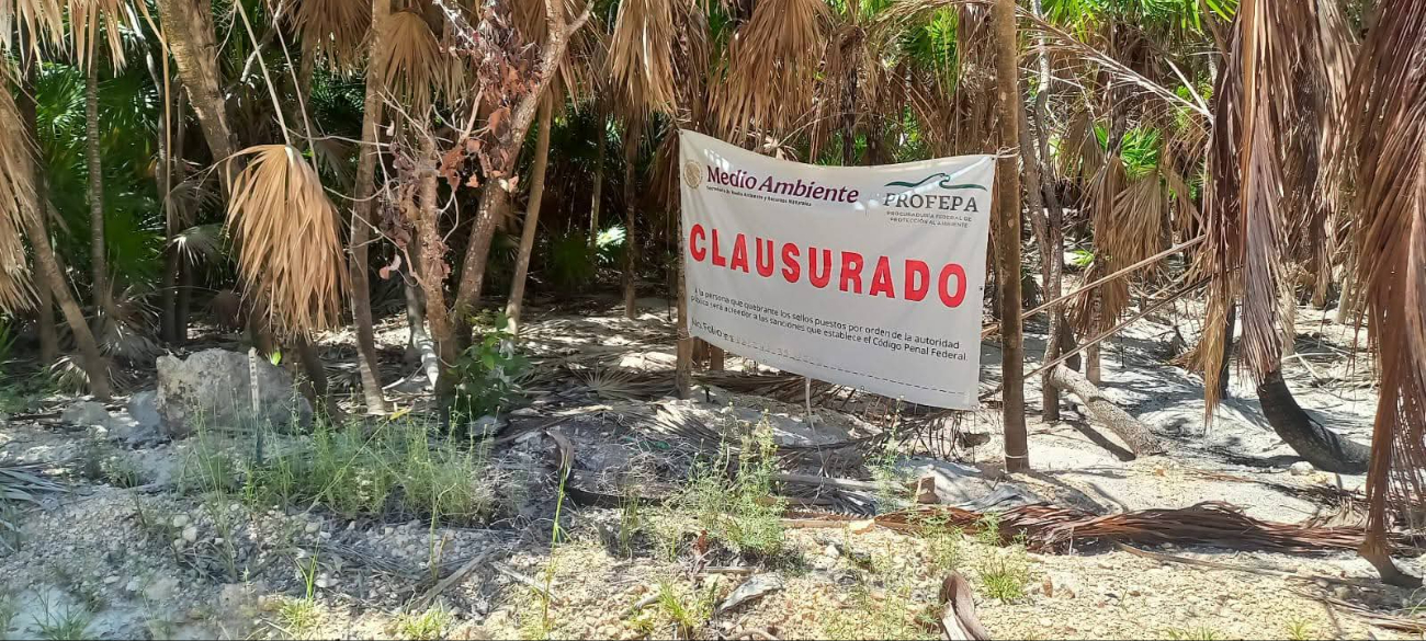 La reserva es reconocida como Patrimonio de la Humanidad por la Unesco; resguarda ecosistemas costeros, selvas y humedales de gran relevancia ambiental La reserva es reconocida como Patrimonio de la Humanidad por la Unesco; resguarda ecosistemas costeros, selvas y humedales de gran relevancia ambiental