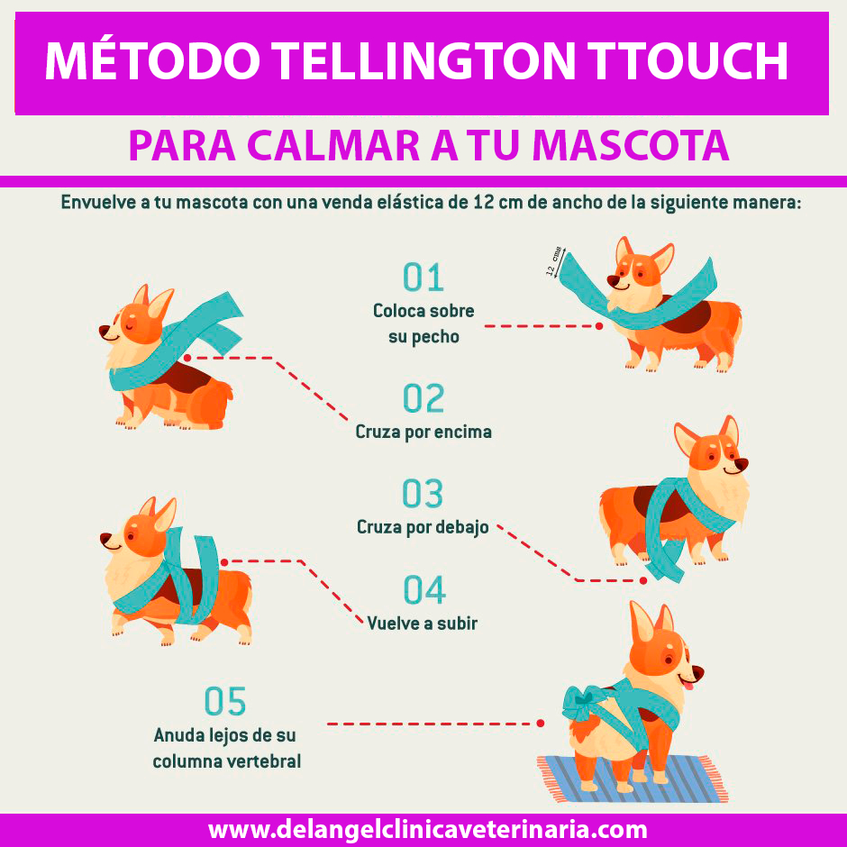 Método Tellington