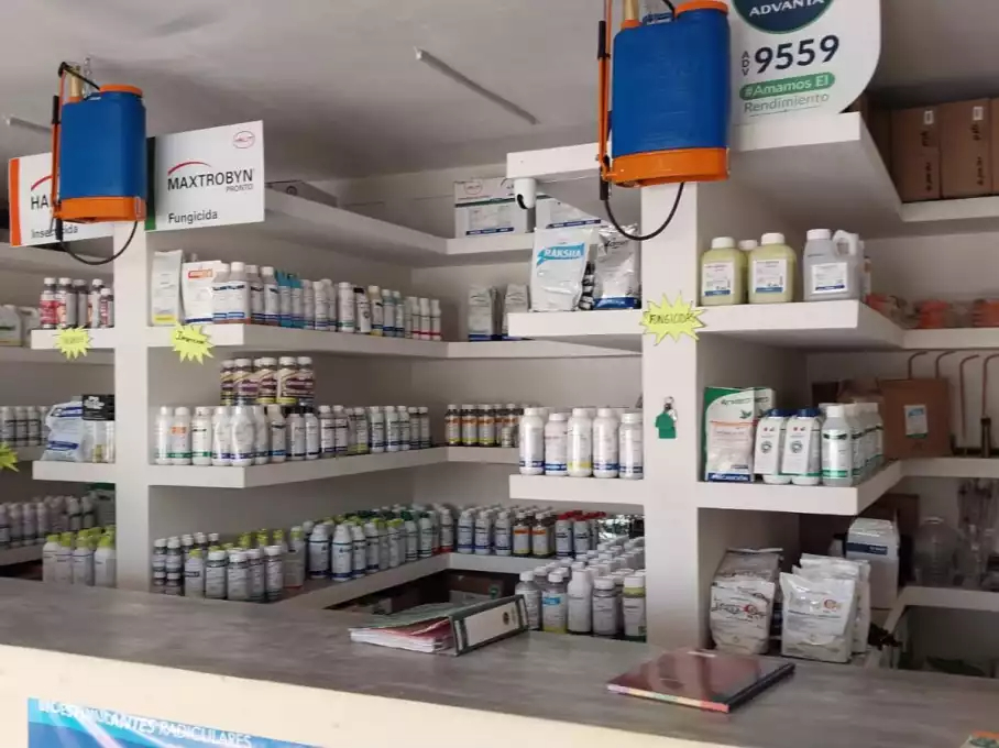 Agrotiendas en Campeche reportan hasta 50% más ventas de plaguicidas por plagas resistentes