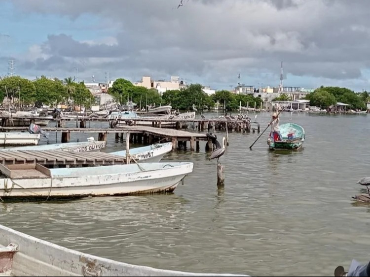 Azolve paraliza actividades de cooperativas pesqueras en Carmen; urgen intervención de CONAPESCA