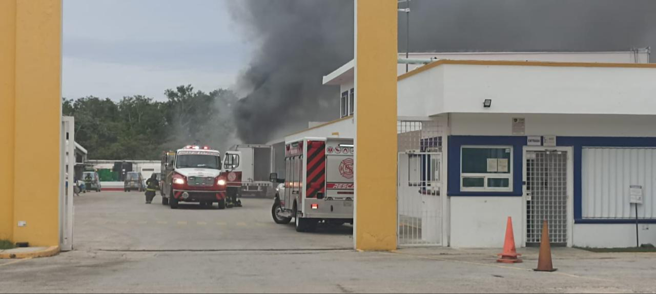 El reporte movilizó a cuerpos de emergencias, quienes acudieron de forma inmediata a controlar el fuego