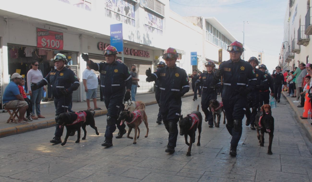 La unidad canina de rescate