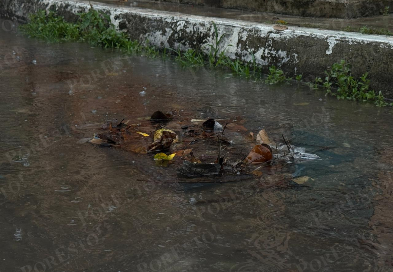 Los registros pluviales ya se obstruyeron por acumulación de basura Los registros pluviales ya se obstruyeron por acumulación de basura