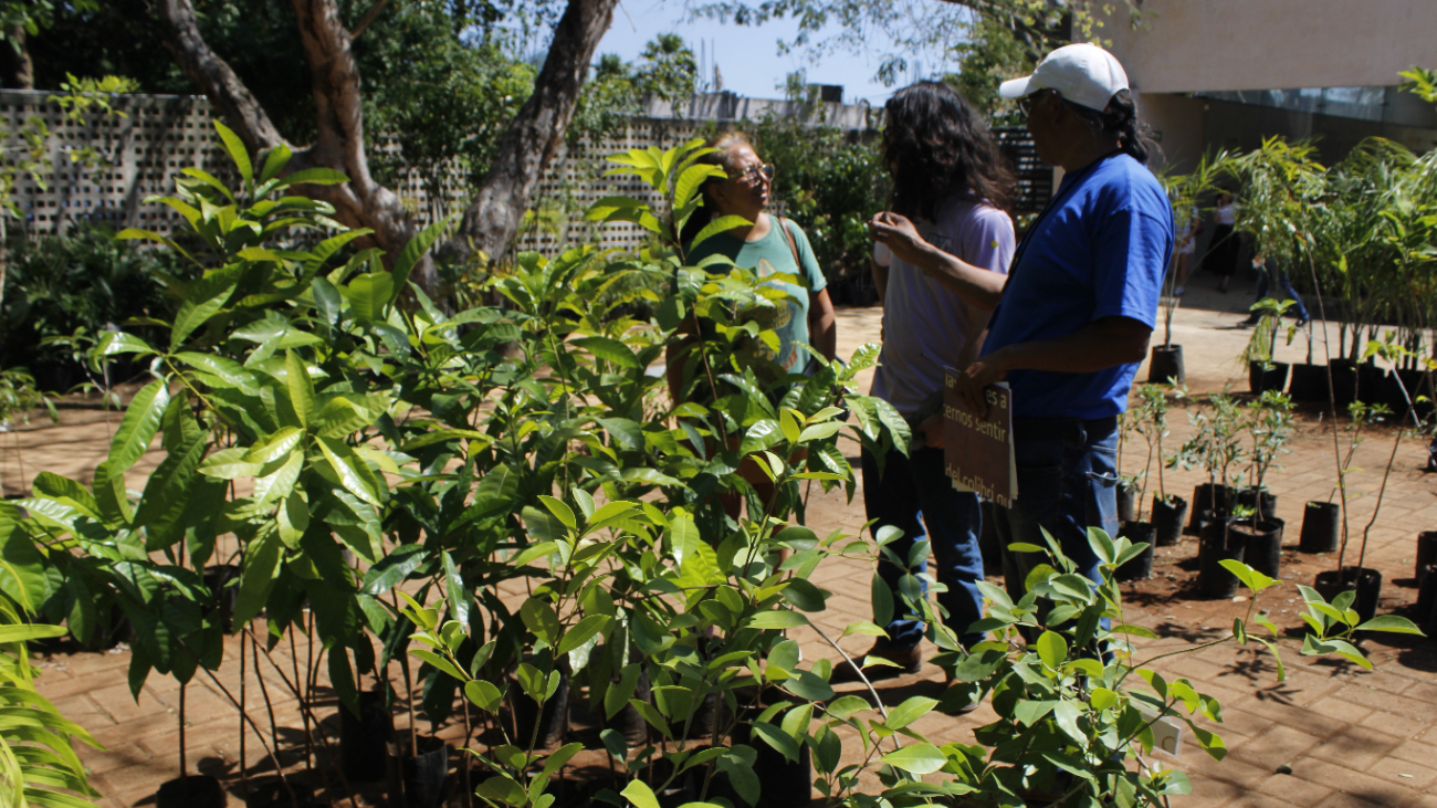 Señalan la urgencia de crear estrategias de aprendizaje en las escuelas de las comunidades indígenas