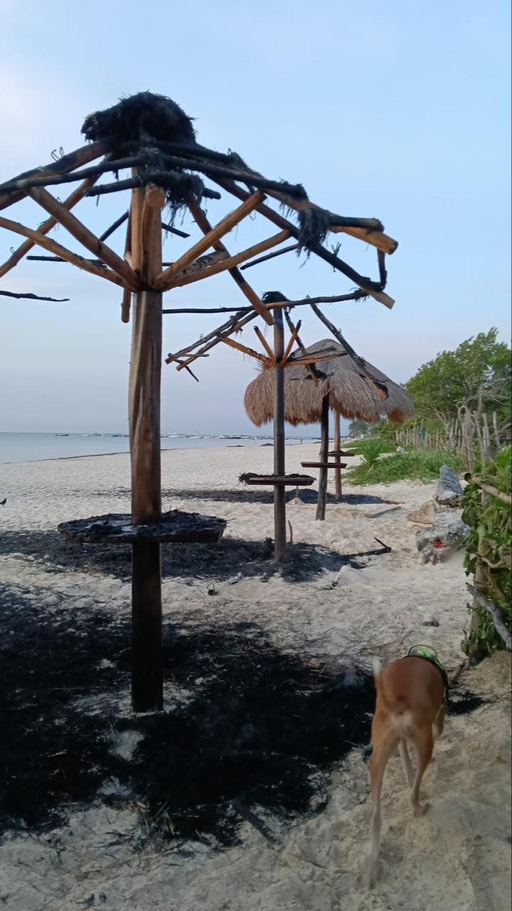 Los restos de madera quemados fueron retirados después de apagarse el incendio Los restos de madera quemados fueron retirados después de apagarse el incendio