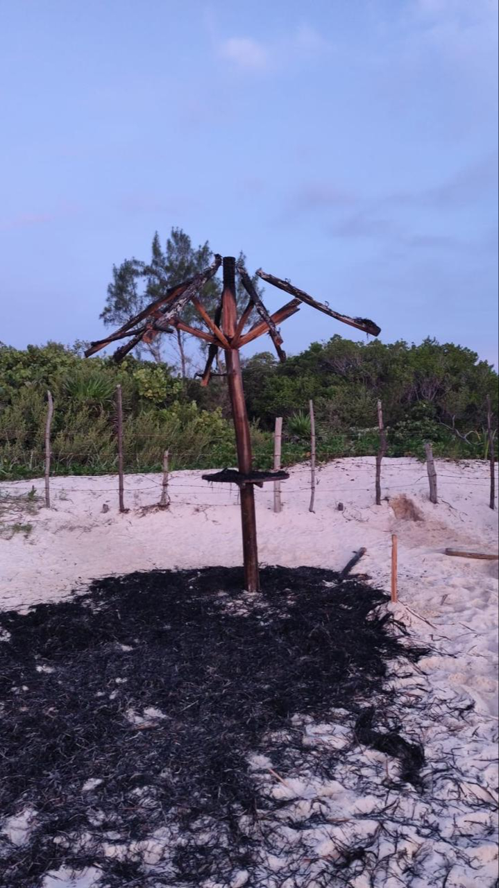 Se cree que el incendio fue intencional, provocado por dos sujetos Se cree que el incendio fue intencional, provocado por dos sujetos