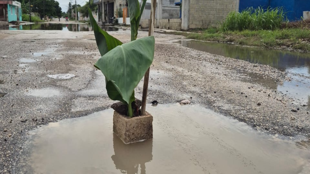 Habitantes solicitan la intervención de autoridades para realizar un desazolve que permita el correcto drenaje de la vía. Habitantes solicitan la intervención de autoridades para realizar un desazolve que permita el correcto drenaje de la vía.