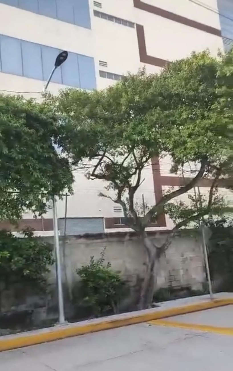 Pese a reportes al 9-1-1 y a la gerencia de la tienda, no ha habido solución. Pese a reportes al 9-1-1 y a la gerencia de la tienda, no ha habido solución.