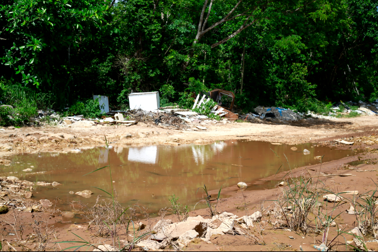 Quintana Roo registra su tercer fallecimiento por dengue y acumula 152 casos, con aumento de 12 en la última semana.