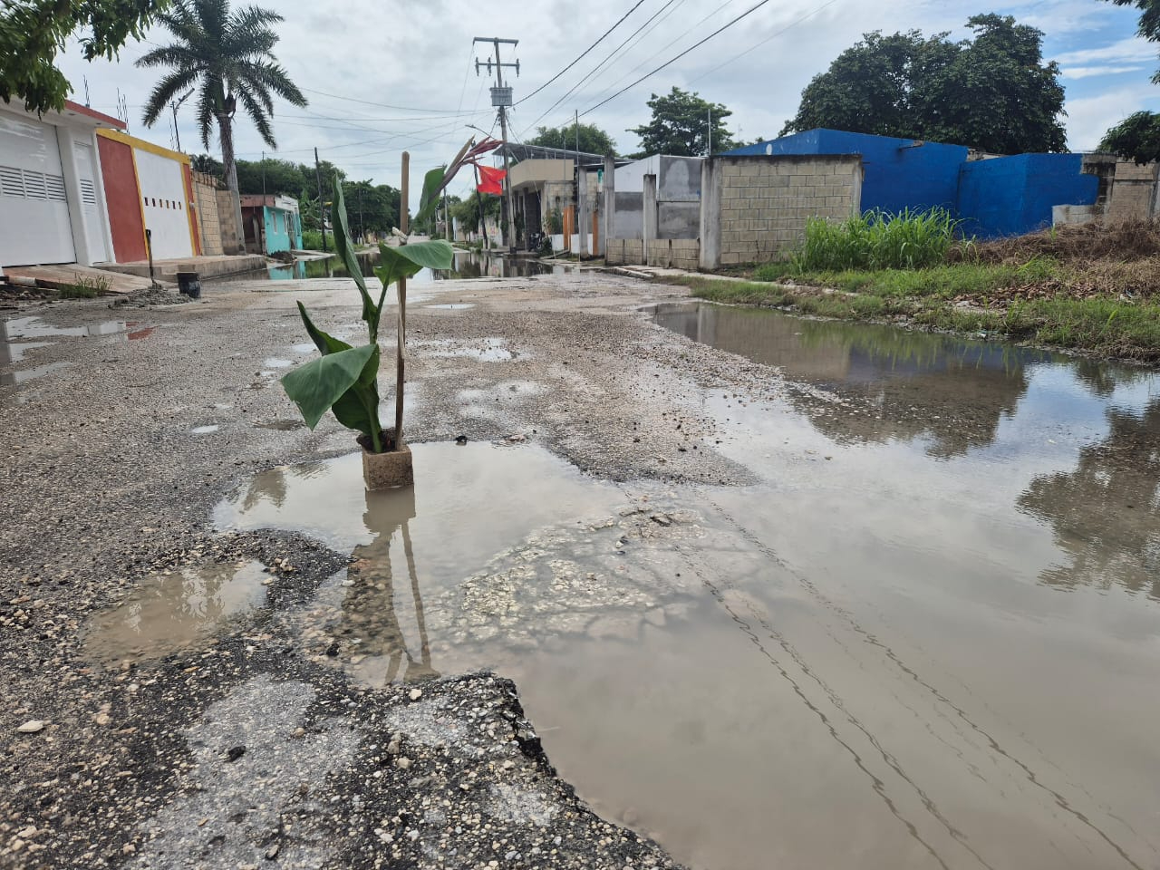 Vecinos colocan “florero” para alertar bache profundo en la calle 17 de Champotón