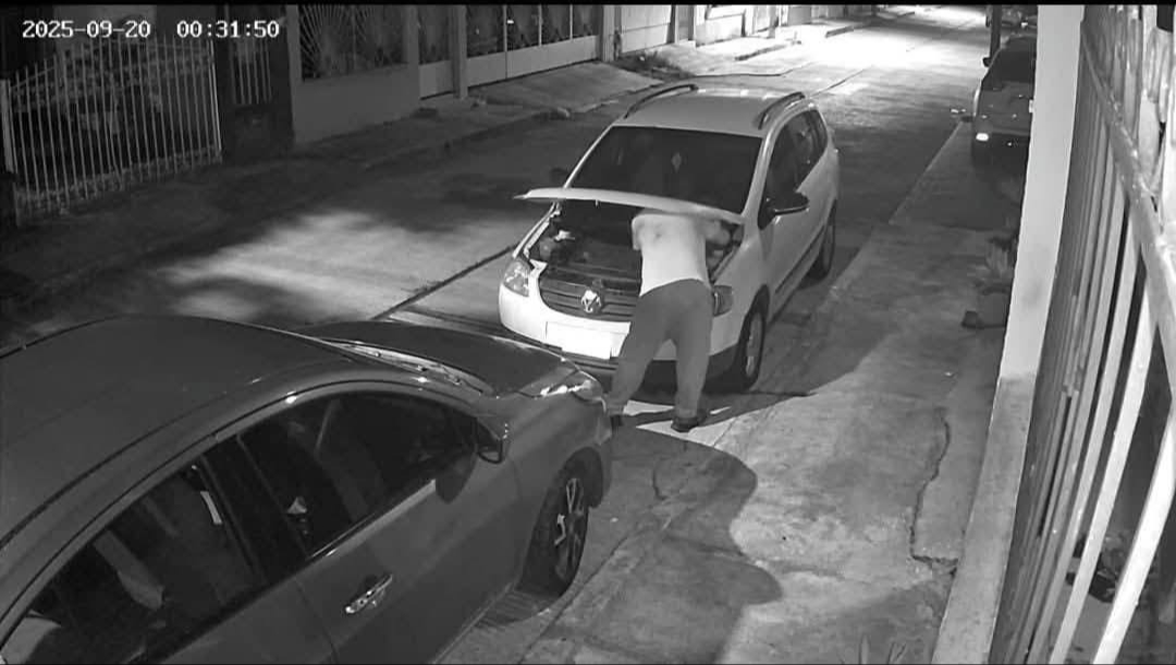 Al respecto, se ha podido detectar que los delincuentes eligen un vehículo determinado para cometer la hazaña Al respecto, se ha podido detectar que los delincuentes eligen un vehículo determinado para cometer la hazaña