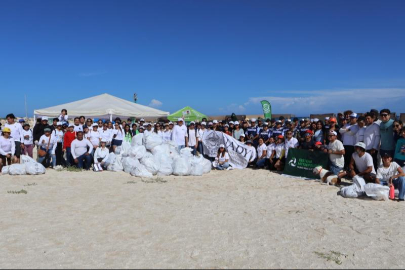 Durante la jornada realizada en 14 playas de 10 municipios de Yucatán
