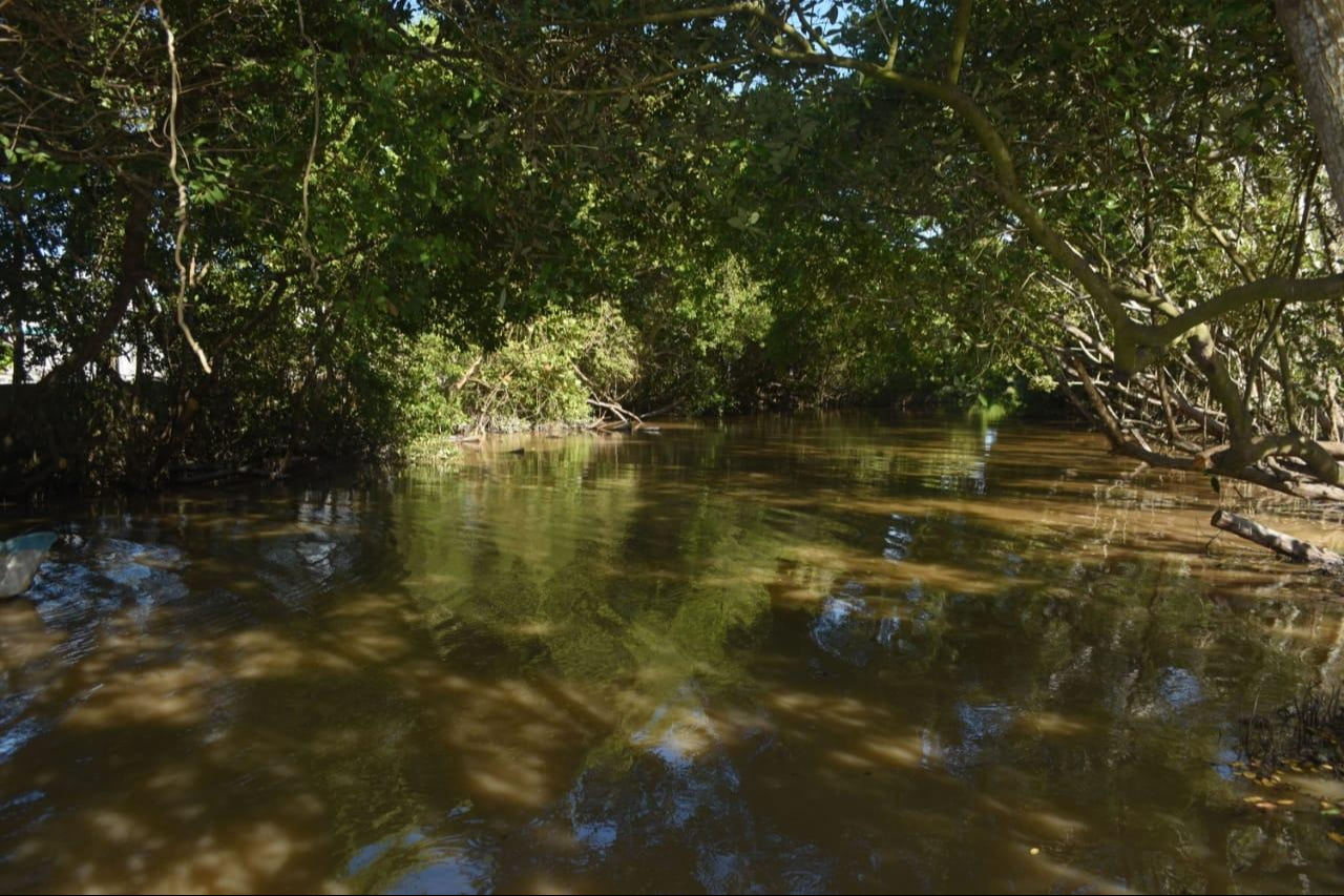 Se logra el retiro de 100 toneladas de basura en áreas naturales al Poniente de Progreso Se logra el retiro de 100 toneladas de basura en áreas naturales al Poniente de Progreso