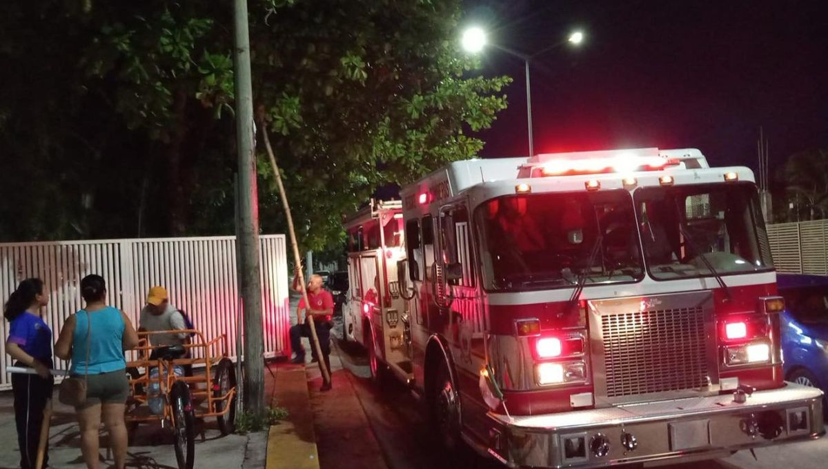 Evacúan secundaria por panal de abejas en Chetumal
