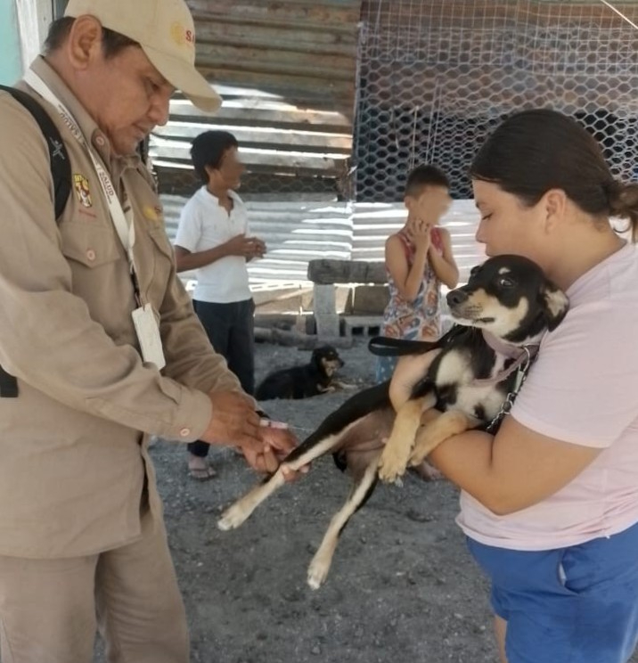 Secretaría de Salud anuncia jornada intensiva de vacunación antirrábica en Campeche