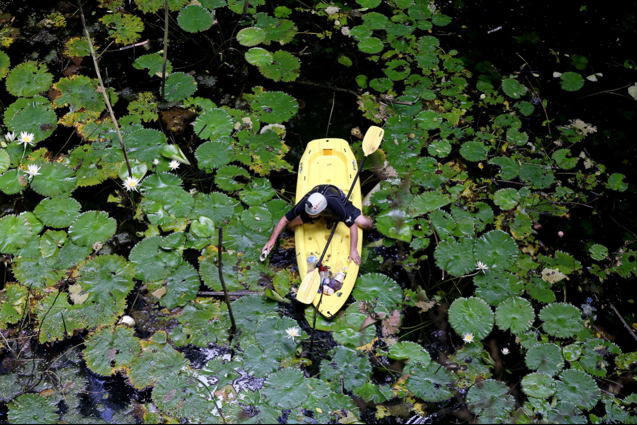 Diversos contaminantes afectan al manto acuífero de Yucatán