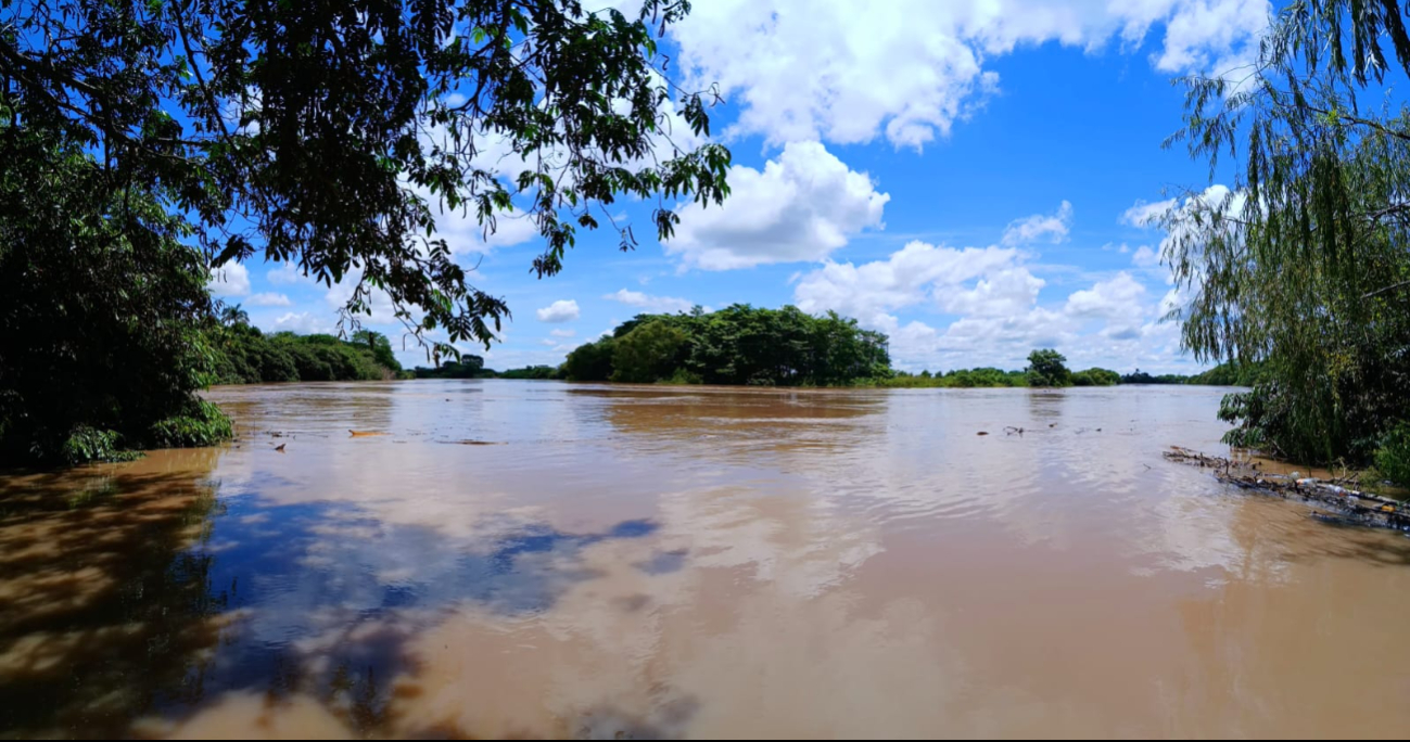 Vecinos notan el cambio de color del agua y el arrastre de troncos y ramas.