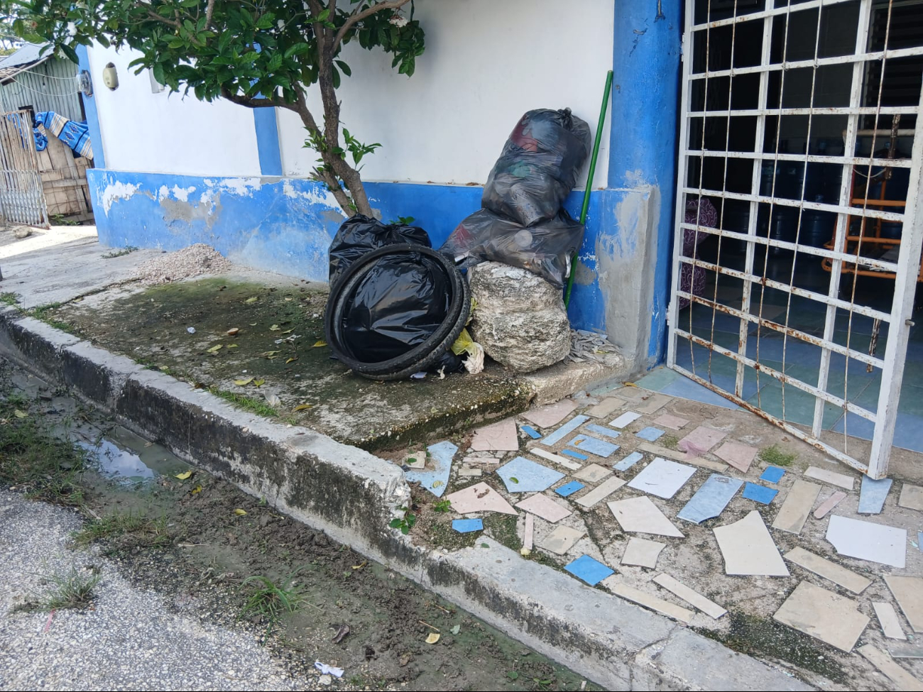 Fetidez y riesgo de enfermedades: vecinos exigen solución a la Comuna