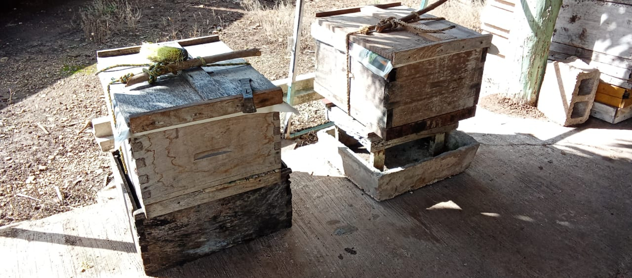 Un acopiador aseguró  que hace unos años,  en el municipio, se  producían 500 kilos  de néctar, pero ahora  no se logra ni el 50%