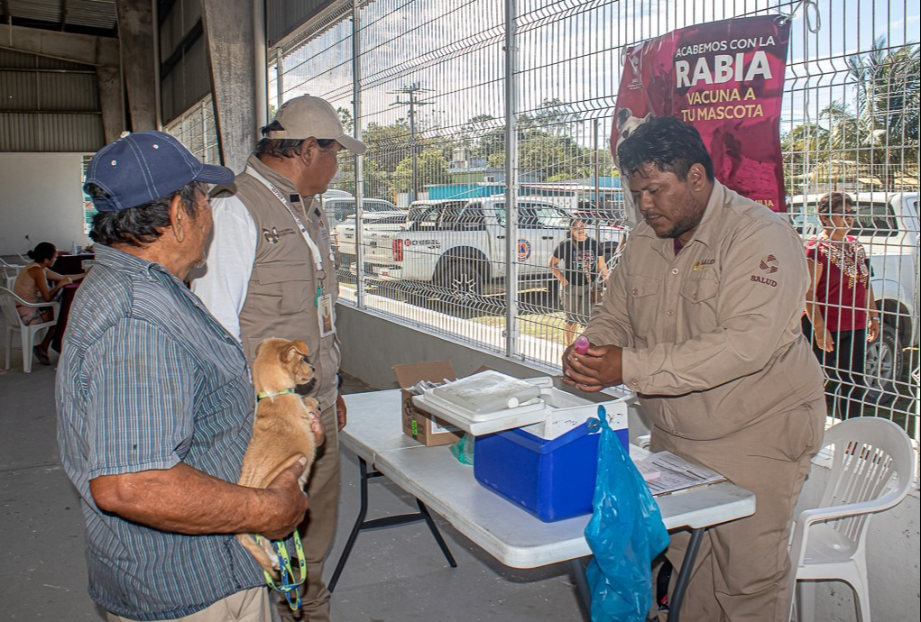 Autoridades llaman a dueños de perros y gatos a vacunar para prevenir un rebrote.