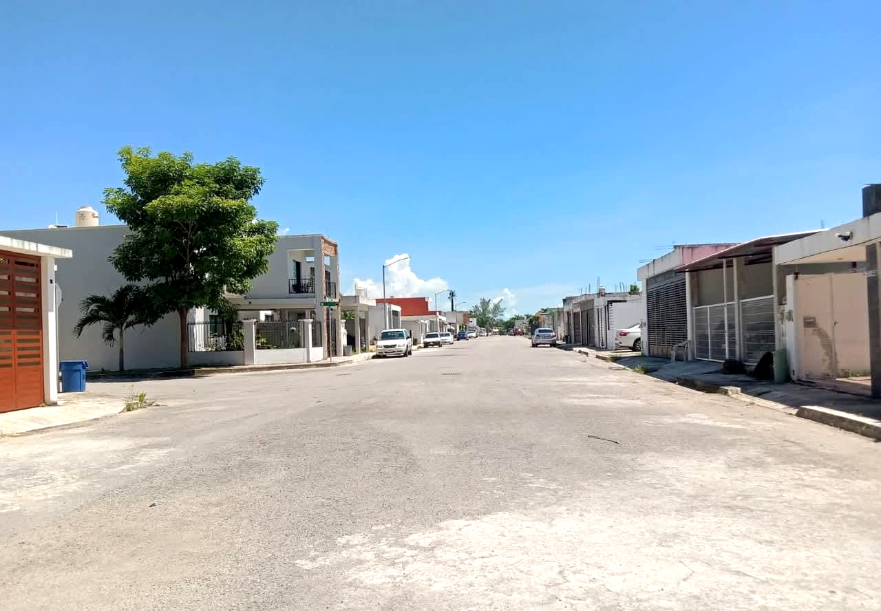 Vecinos de Chetumal aseguran haber visto un tigrillo que se come a las mascotas