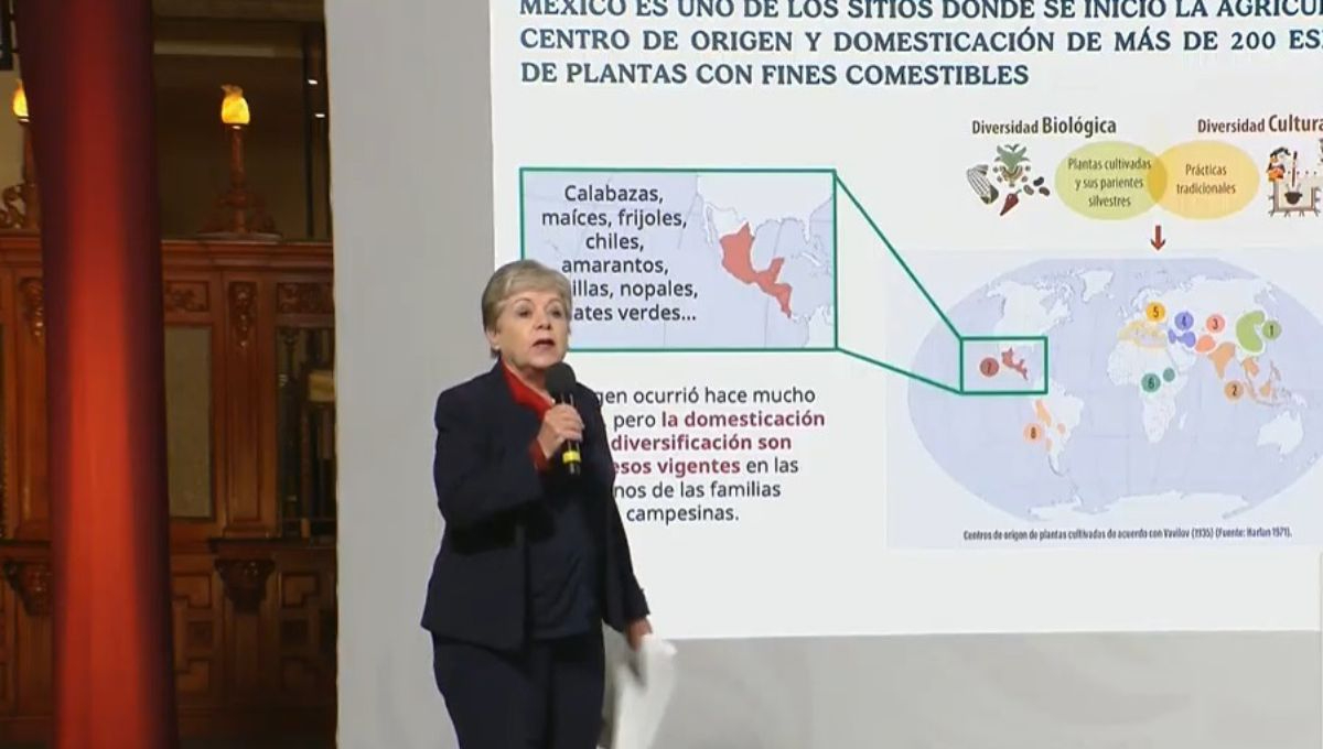 Alicia Bárcena Ibarra,  secretaria federal de Medio Ambiente