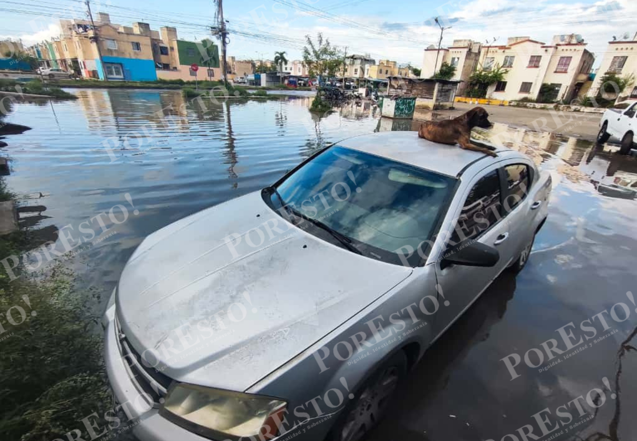 El pronostico será igual para el resto de los días, Las lluvias serán de ligeras a moderadas, de manera aislada e intermitente, principalmente durante las tardes del martes y miércoles
