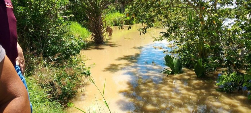 La CONAGUA reporta estabilidad en las últimas 24 horas.