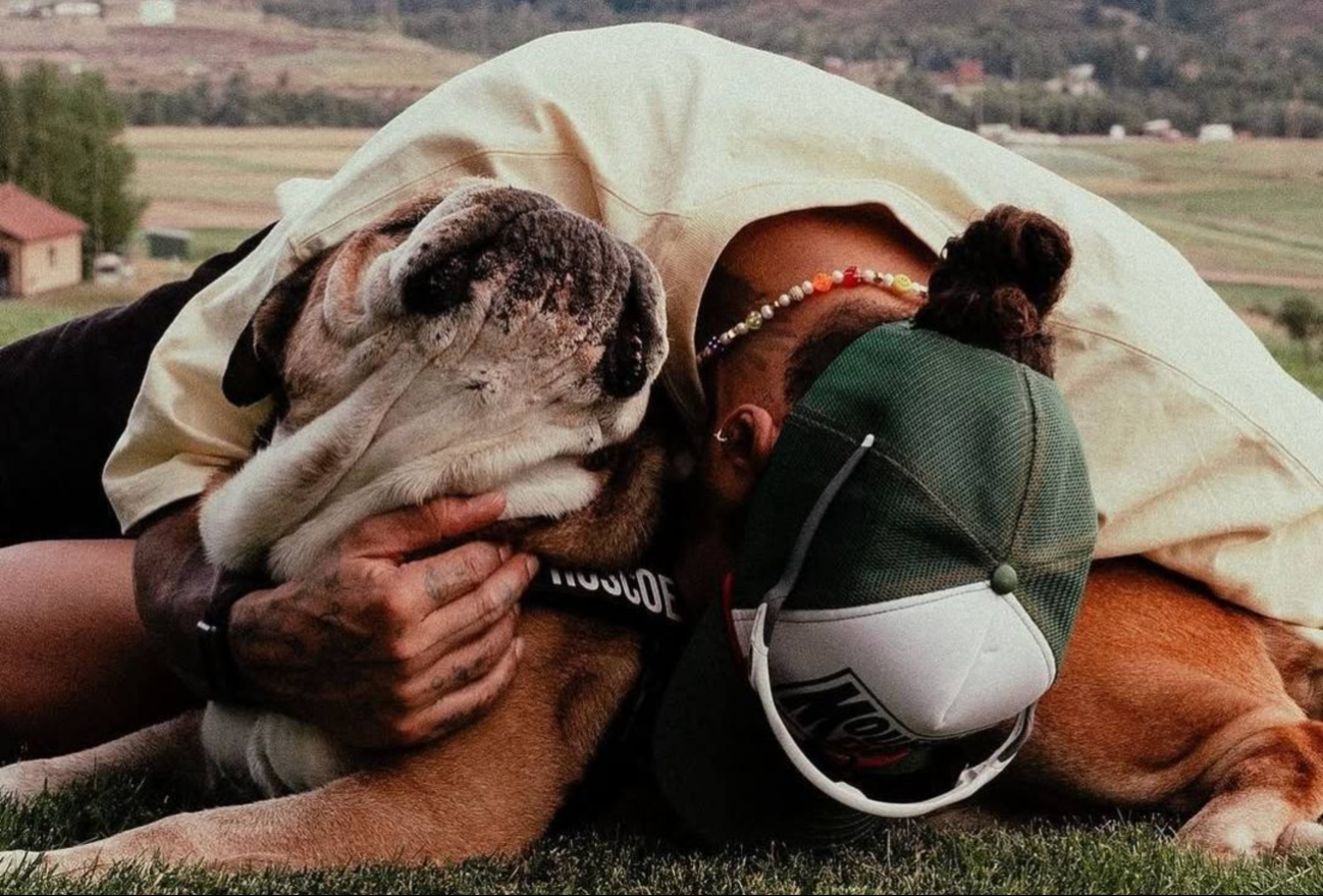 Lewis Hamilton despidió a su bulldog de 12 años; padecía una fuerte enfermedad.