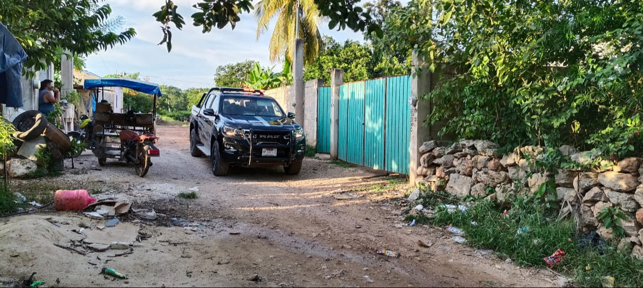 Un perro que estaba amarrado en la vivienda no pudo escapar y murió debido al ataque del enjambre Un perro que estaba amarrado en la vivienda no pudo escapar y murió debido al ataque del enjambre