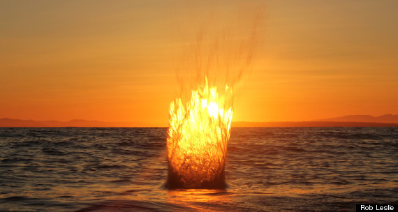 La maldición flotante: bolas de fuego en el Golfo de Campeche La maldición flotante: bolas de fuego en el Golfo de Campeche