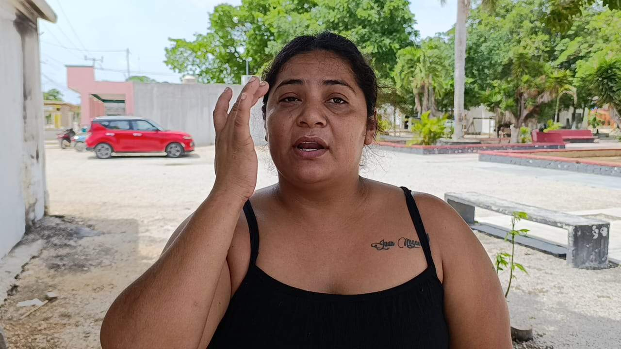 María López destacó la falta de trabajos de pavimentación y el mal estado de los caminos vecinales María López destacó la falta de trabajos de pavimentación y el mal estado de los caminos vecinales