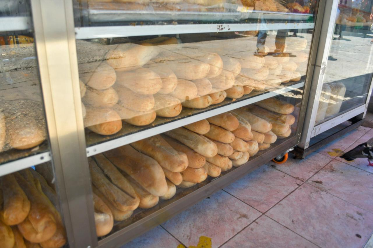 Canainpa descarta aumento en el precio del pan en Campeche en 2025; seguirá entre 7 y 10 pesos