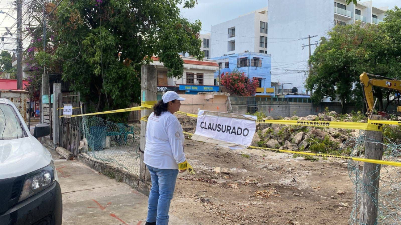 Clausuran predio por tala ilegal de árboles en Playa del Carmen Clausuran predio por tala ilegal de árboles en Playa del Carmen
