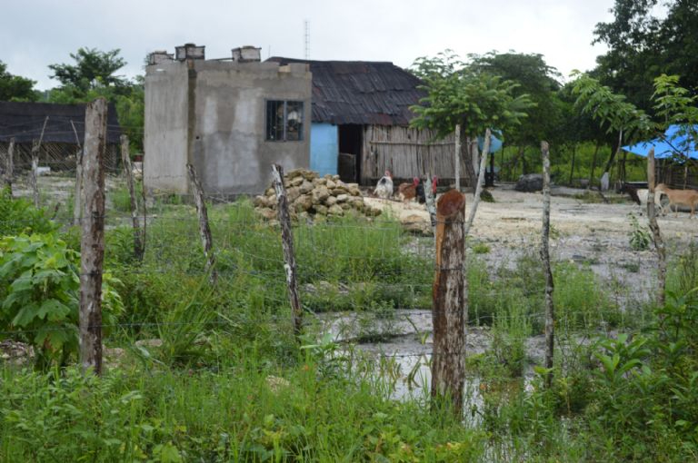 Colonos sufren falta de regularización en su colonia en Quintana Roo Colonos sufren falta de regularización en su colonia en Quintana Roo
